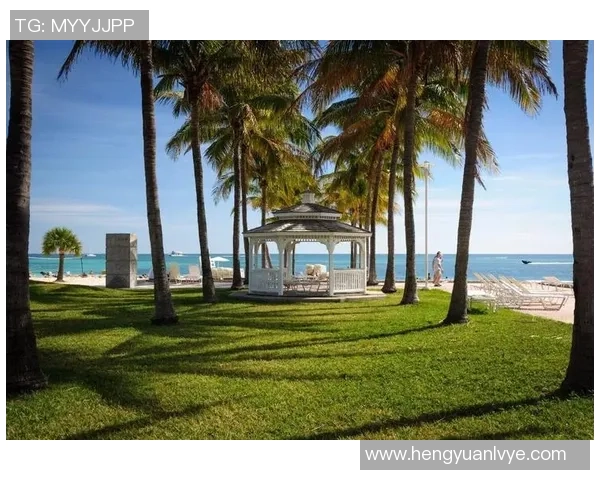 足球巨星足迹：探索纽约城市魅力与球场传奇之旅